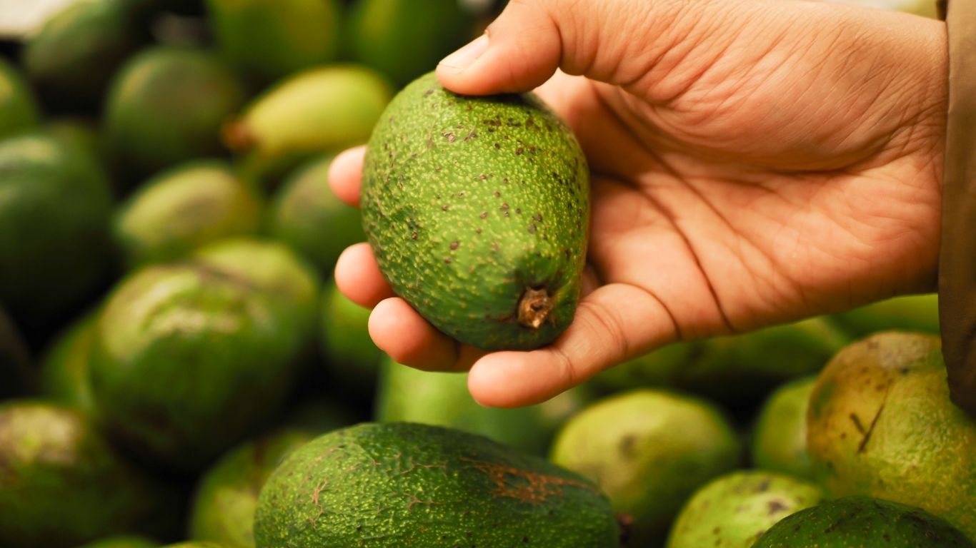 Przestałem kupować awokado. Przyczyn jest bardzo wiele